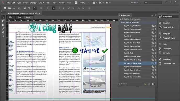 Adobe InCopy 2