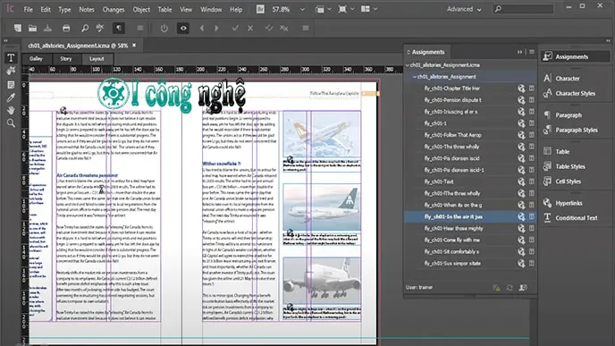 Adobe InCopy 2