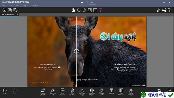 Corel PaintShop Pro 2022-2
