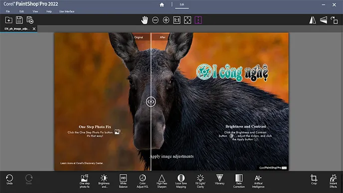 corel-paintshop-pro-2022-2 Corel PaintShop Pro 2022-2