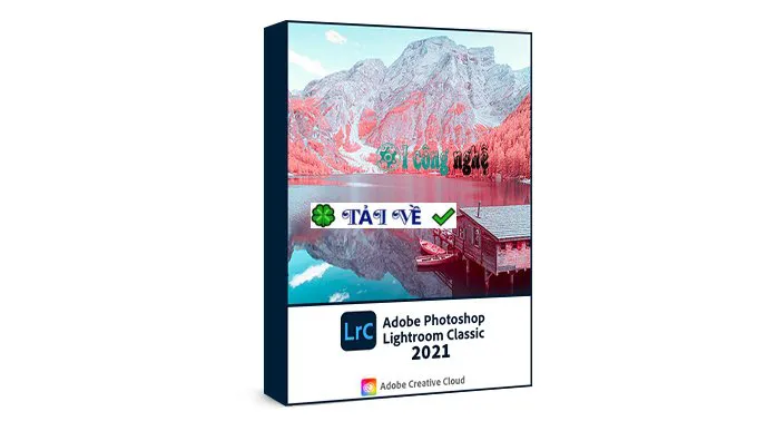 Adobe Photoshop Lightroom 2021: Chỉnh sửa ảnh chuyên nghiệp
