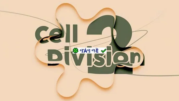 Cell division