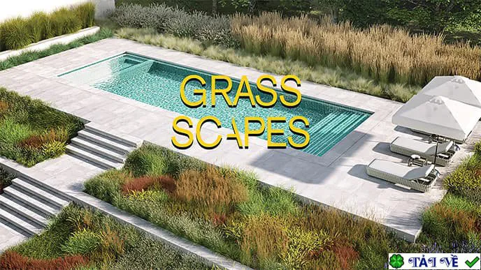 Grass scapes