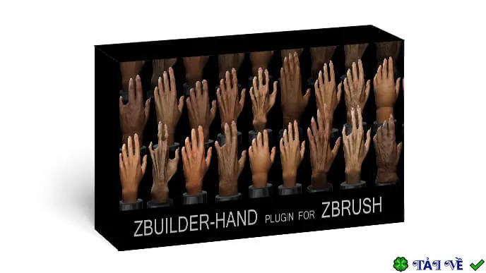 Human Zbuilder: Tạo bàn tay chân thực cho Zbrush