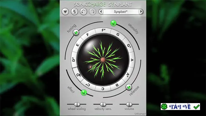 Sonic Charge Synplant v2.0.1: Âm thanh hữu cơ