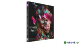 Download Affinity Photo 2022 – Công cụ thiết kế ảnh đỉnh cao