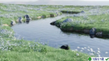 Baga River Generator v1.2: Plugin tạo sông chân thực Blender
