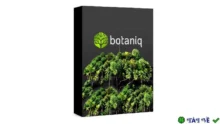 Botaniq 7.1.1 for Blender: Thư viện cây cối 3D cao cấp