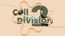 Aescripts Cell Division 2 v1.1.0 – Tạo hiệu ứng phân bào