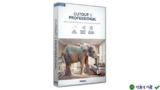 Franzis CutOut 10 – Phần mềm cắt ghép ảnh chuyên nghiệp