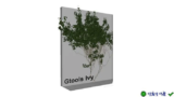 Tối Ưu Tạo Ivy 3D Gtools Ivy for 3ds Max 2018-2024