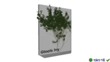 Tối Ưu Tạo Ivy 3D Gtools Ivy for 3ds Max 2018-2024