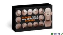 Human Face Vdm Brushes v1.1: Cọ VDM tạo khuôn mặt chân thực