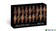 Human Zbuilder: Tạo bàn tay chân thực cho Zbrush