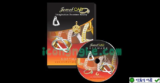 Download JewelCAD Pro – Thiết kế, mô hình trang sức chuyên nghiệp