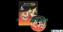 Download JewelCAD Pro – Thiết kế, mô hình trang sức chuyên nghiệp