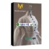 Tải Magix VEGAS Pro 19: Phần mềm dựng phim chuyên nghiệp