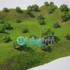 Backdrop Generator 2.00 for 3DS max – Tối ưu hóa cảnh 3D