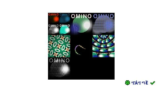 Omino Plugin for After Effect: Bộ hiệu ứng sáng tạo mạnh mẽ