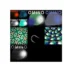 Tạo ảnh 3D nổi với Aescripts Autostereogram cho After Effects