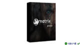 Ornatrix 8.8.1 for 3DS Max 2020-2025 – Tạo tóc chuyên nghiệp