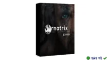 Ornatrix 8.8.1 for 3DS Max 2020-2025 – Tạo tóc chuyên nghiệp