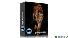 Tải Peregrine Labs Yeti 5.2.4 cho Maya – Phiên bản mới nhất