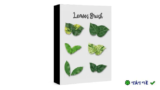 Realistic Leaves Brush for Adobe Illustrator – Tạo lá chân thực