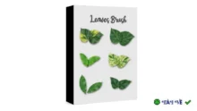 Realistic Leaves Brush for Adobe Illustrator – Tạo lá chân thực