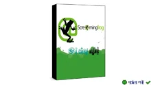 Screaming Frog SEO Spider: Phân tích & sửa lỗi SEO website