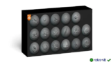 Bộ sưu tập 600+ Blender Sculpting Brushes