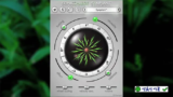 Sonic Charge Synplant v2.0.1: Âm thanh hữu cơ