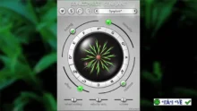 Sonic Charge Synplant v2.0.1: Âm thanh hữu cơ