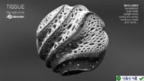 The search results indicate that “Tissue” is a Blender add-on for “Computational Design” and “Tes…