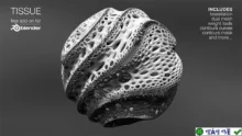 The search results indicate that “Tissue” is a Blender add-on for “Computational Design” and “Tes…