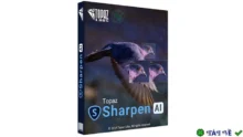 Download Topaz Sharpen AI – Phục hồi ảnh mờ, chi tiết rõ nét