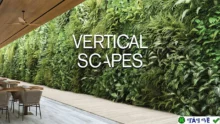 Vertical Scapes 2025 for Blender: Tạo cảnh quan 3D chuyên nghiệp