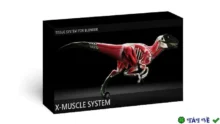 X-Muscle System 4.0.7: Công cụ tạo cơ bắp cho Blender